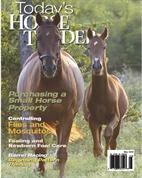 Today's Horse Trader